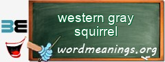 WordMeaning blackboard for western gray squirrel